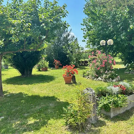 La Casa Delle Querce * San Pietro in Vincoli
